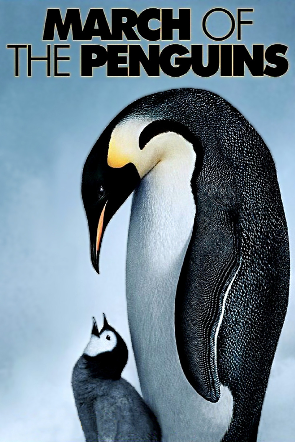 دانلود دوبله فارسی مستند رژه پنگوئن ها March of the Penguins 2005
