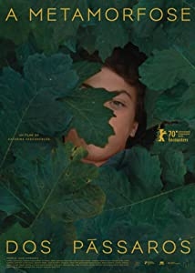 دانلود فیلم The Metamorphosis of Birds