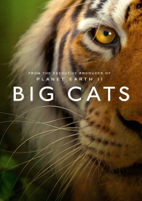 دانلود سریال Big Cats 2018