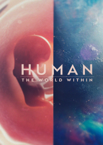 دانلود سریال Human: The World Within 2021