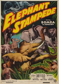 دانلود فیلم Elephant Stampede 1951